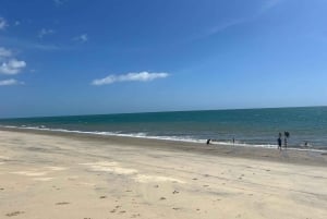 Panamá City: Guided Day Tour