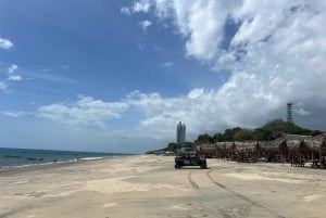 Panamá City: Guided Day Tour