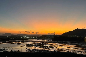 Panama City: Guided Panama Canal & City Tour with Transfers