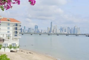 Panama City: Tour di mezza giornata del Canale di Panama e della città vecchia