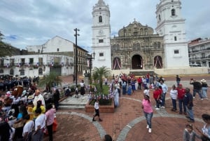 Panama stad: Halvdagsutflykt till höjdpunkter och Panamakanalen