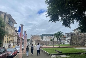 Panama City: Half-day tour of highlights and Panama Canal