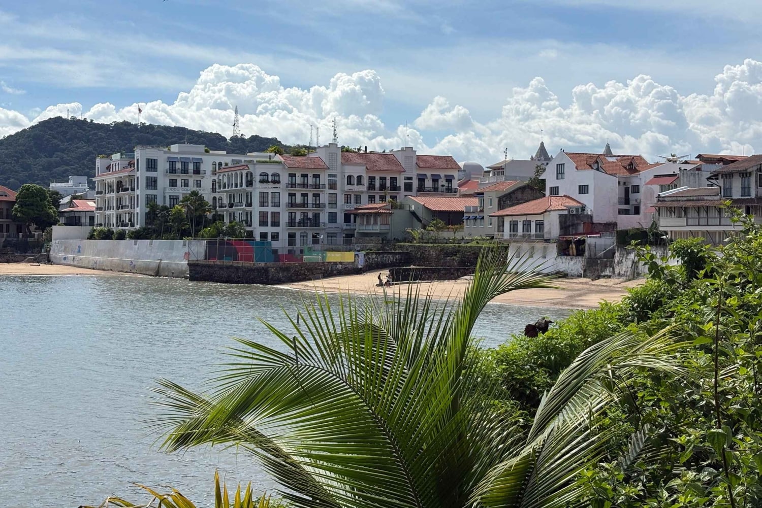 Panama City: Halvdagstur till Miraflores Locks och Casco Viejo