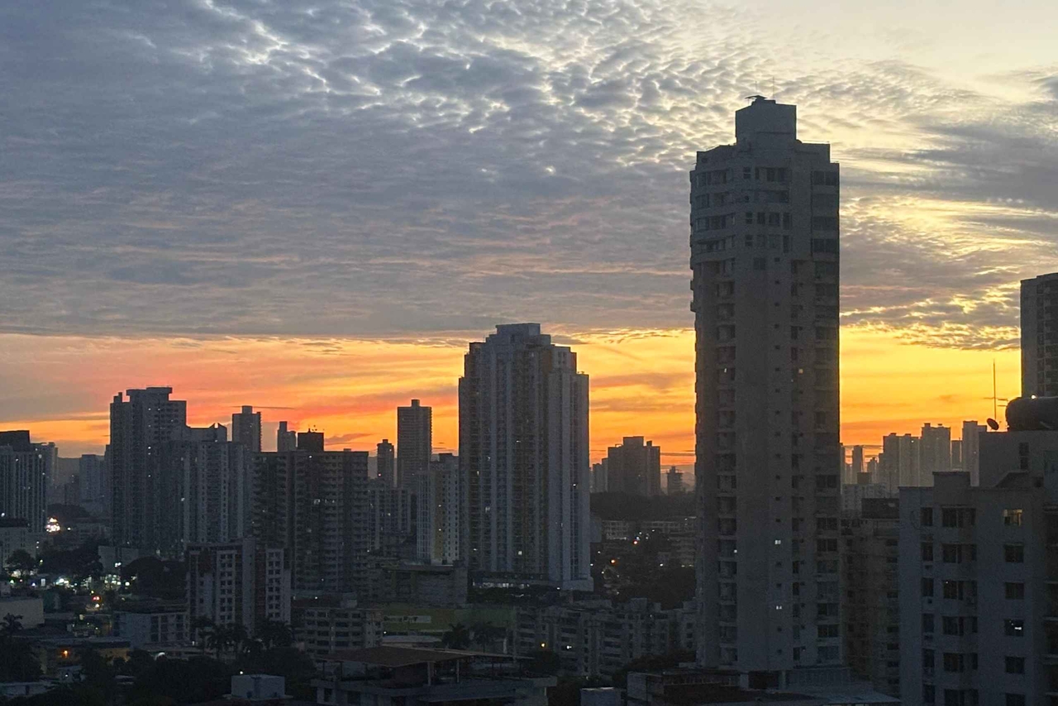 Panama City: Halvdagstur till Miraflores Locks och Casco Viejo