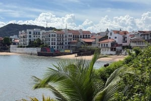 Panama City: Halvdagsomvisning til Miraflores Locks og Casco Viejo