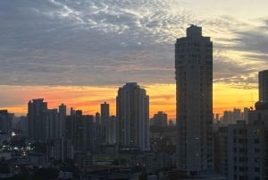 Panama City: Halvdagsomvisning til Miraflores Locks og Casco Viejo