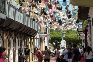Panama City: Halvdagsomvisning til Miraflores Locks og Casco Viejo