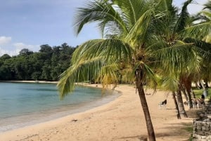 Panama City: Isla Grande Beach and Portobelo Private Tour