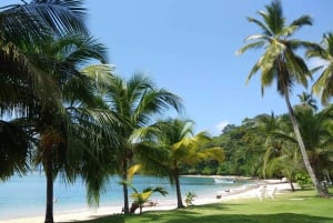 Panama City: Privat tur til Isla Grande Beach og Portobelo