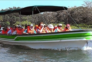 Panama City: Jungle and Gatun Lake Half-Day Adventure