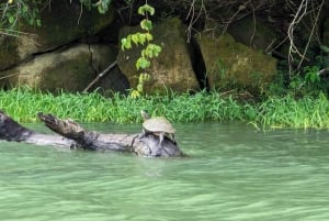 Ciudad de Panamá: Aventura de Medio Día en la Selva y el Lago Gatún