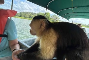Ciudad de Panamá: Aventura de Medio Día en la Selva y el Lago Gatún