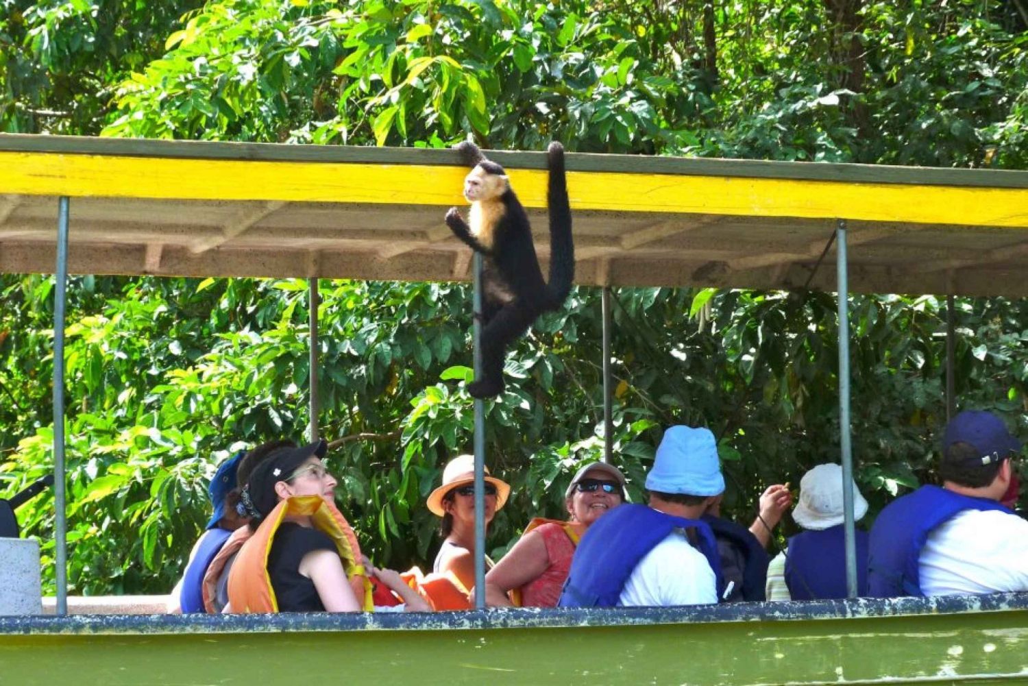 Panama City: Jungle & Gatun Safari Tour on the Panama Canal