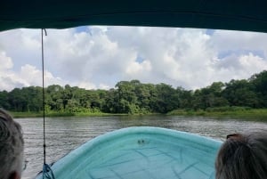 Panama City: Jungle & Gatun Safari Tour on the Panama Canal