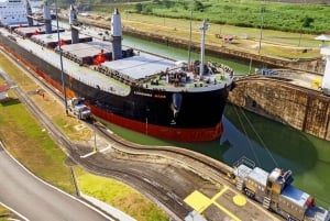 Panama City: Panama: Layover Tour with Canal and City Highlights: Layover Tour with Canal and City Highlights