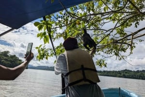 Panama City : Tour en bateau de l'île aux singes et du lac Gatun