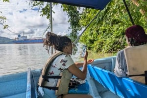 Panama City : Tour en bateau de l'île aux singes et du lac Gatun