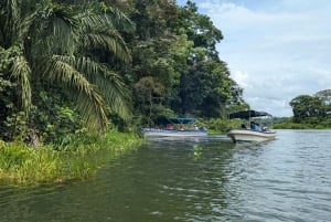 Panama City : Tour en bateau de l'île aux singes et du lac Gatun