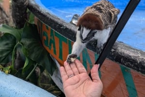 Panama City : Tour en bateau de l'île aux singes et du lac Gatun