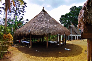 Panama City: Monkey Island and Indigenous Village Tour