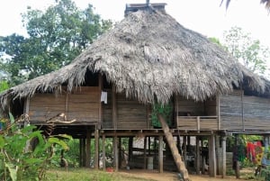 Panama City: Monkey Island and Indigenous Village Tour