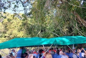 Panama City : L'île aux singes et le tour en bateau du canal de Panama