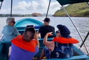 Panama City: Monkey Island and Panama Canal Boat Tour