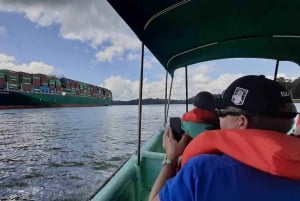 Panama City: Monkey Island and Panama Canal Boat Tour