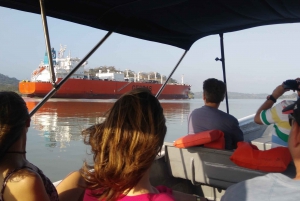 Panama City: Monkey Island Boat Tour
