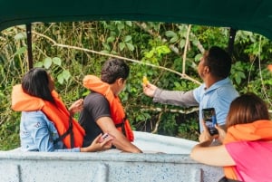 Panama City: Panama: Monkey Island Boat Tour