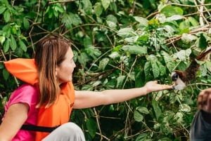 Panama City : Tour en bateau de l'île aux singes