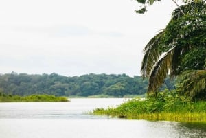 Panama City: Panama: Monkey Island Boat Tour