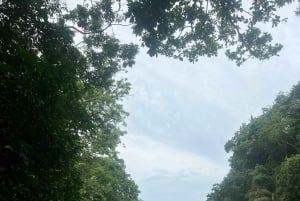 Panama City: Old Town and Monkey Island