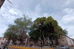 Panama City: Oldtown Walking Tour