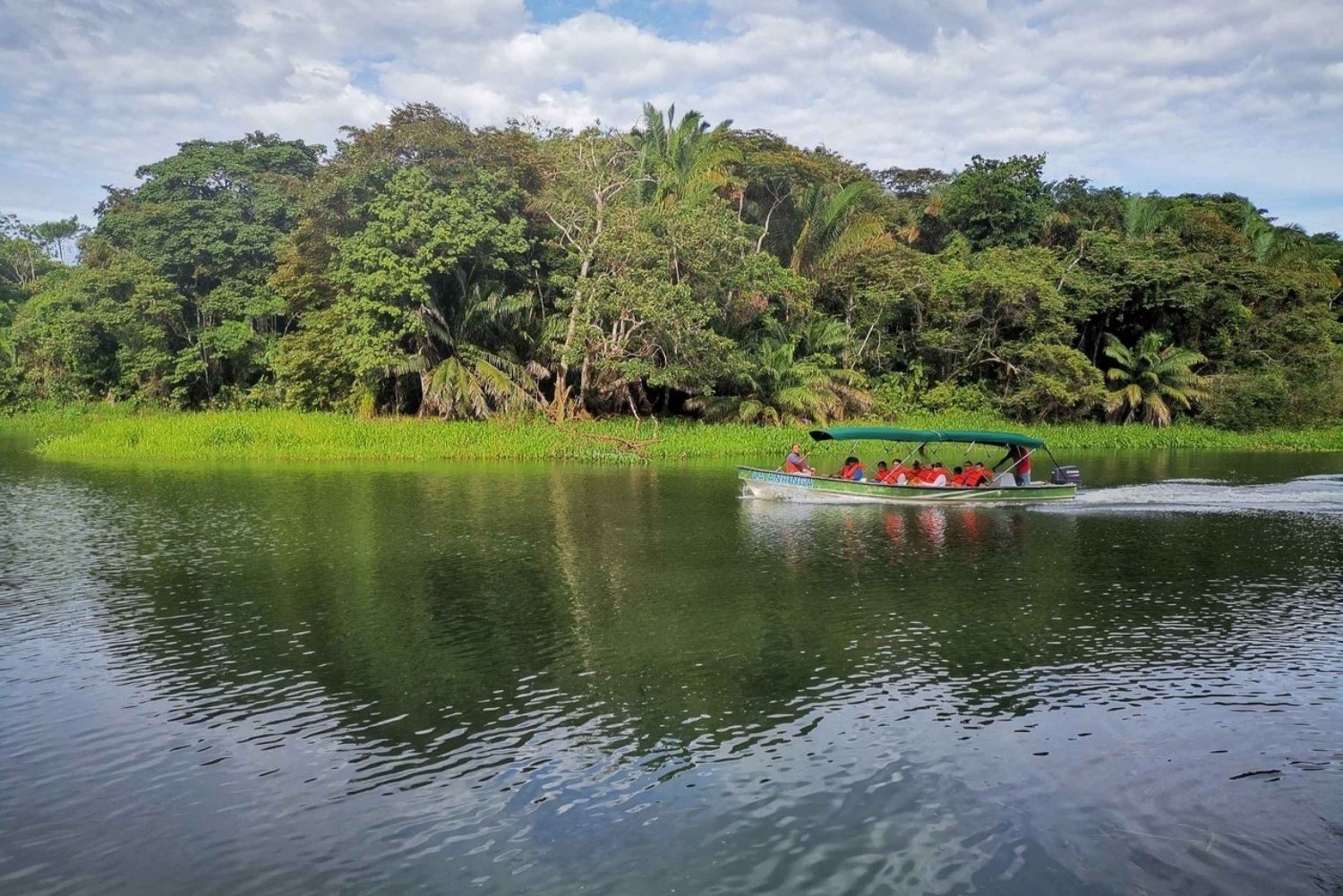lake gatun wildlife tour from panama city