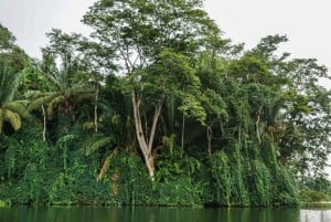 Panama City: Panama Canal and Gatun Lake Jungle Eco Cruise