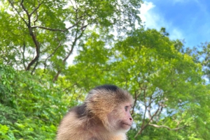 Panama city: Panamakanalen och Monkey Island Tour