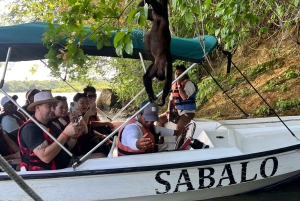 Panama city: Panamakanalen och Monkey Island Tour