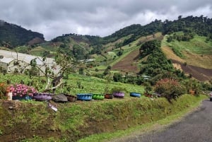 Panama City: Personalized Tour with Local Guide