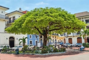 Panama City: Tour a piedi dei Pirati di Panama City