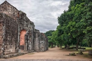 Panama City: Wycieczka piesza Piraci z Panama City