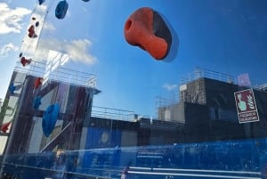 Panama City: POIN Panama City Climb Experience