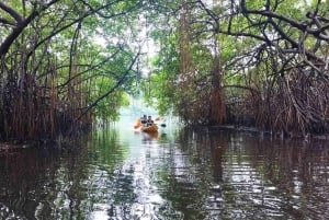 Ciudad de Panamá: Tour por la selva, el arrecife y Venas Azules de Portobelo
