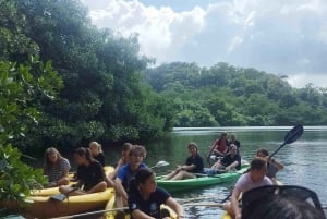 Ciudad de Panamá: Tour por la selva, el arrecife y Venas Azules de Portobelo