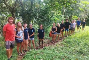 Ciudad de Panamá: Tour por la selva, el arrecife y Venas Azules de Portobelo