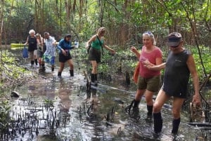 Ciudad de Panamá: Tour por la selva, el arrecife y Venas Azules de Portobelo