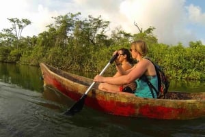 Ciudad de Panamá: Tour por la selva, el arrecife y Venas Azules de Portobelo