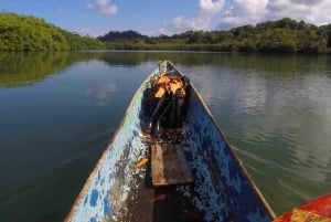 Ciudad de Panamá: Tour por la selva, el arrecife y Venas Azules de Portobelo