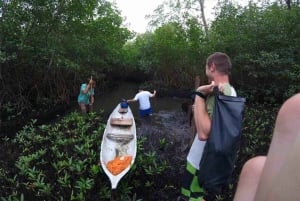 Ciudad de Panamá: Tour por la selva, el arrecife y Venas Azules de Portobelo