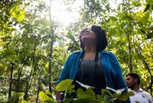 Ciudad de Panamá: Tour por la selva, el arrecife y Venas Azules de Portobelo
